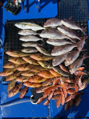 IMG_7317.jpeg
