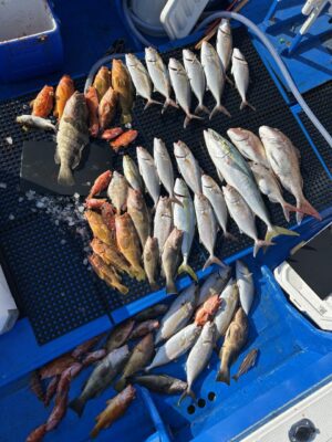 IMG_3466.jpeg