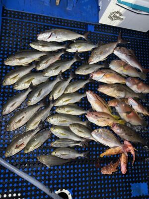 IMG_4237.jpeg