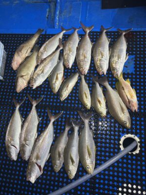 IMG_5118.jpeg